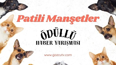 Patili Manşetler, Sokak Hayvanları İçin Haber Yazma Yarışması.